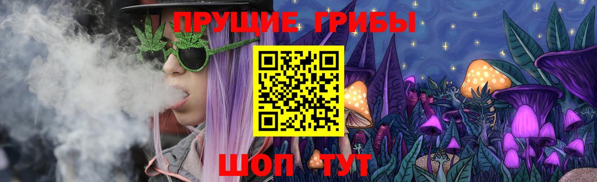 Щёкино  Галлюциногенные грибы прущие грибы  Вход с VPN 